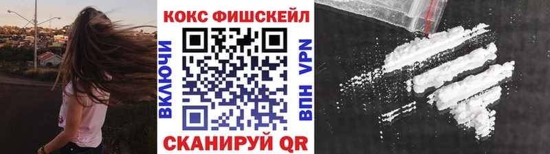 COCAIN Fish Scale  Луга 