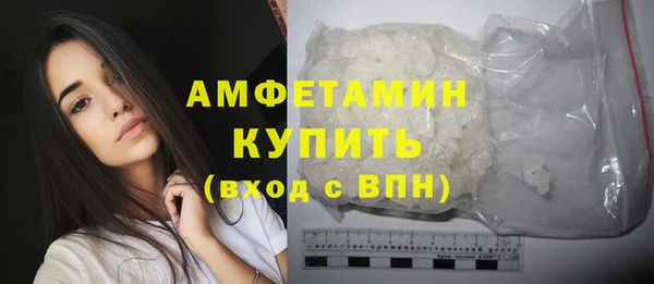 винт Лагань