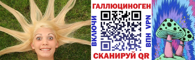 Галлюциногенные грибы GOLDEN TEACHER  где купить наркотик  Луга 