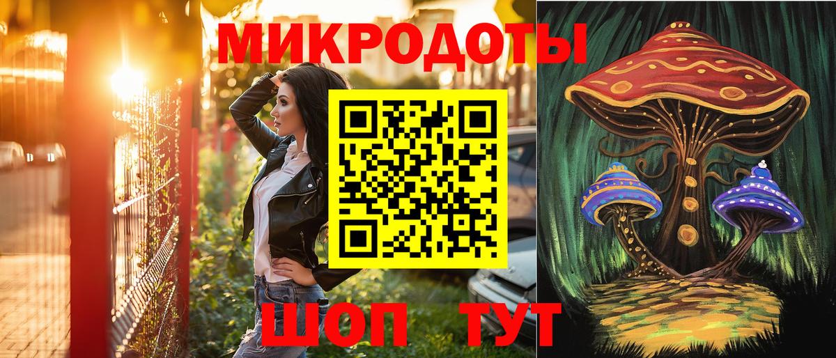 Луга  Псилоцибиновые грибы Psilocybe  Вход с VPN 
